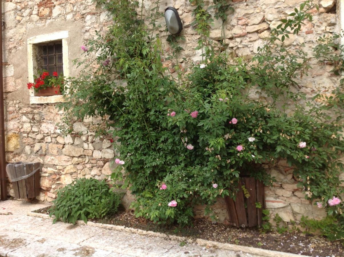 Agriturismo Ca' Verde Сант-Амброджо-ди-Вальполичелла Экстерьер фото